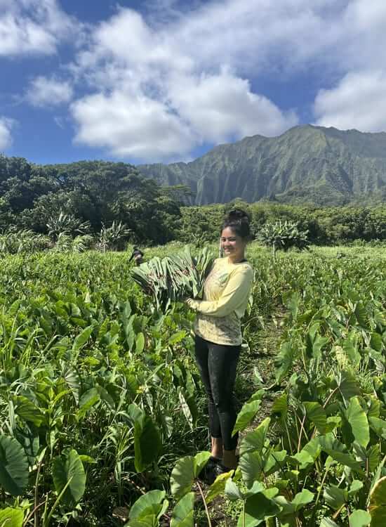 Hiʻilei Kawelo
