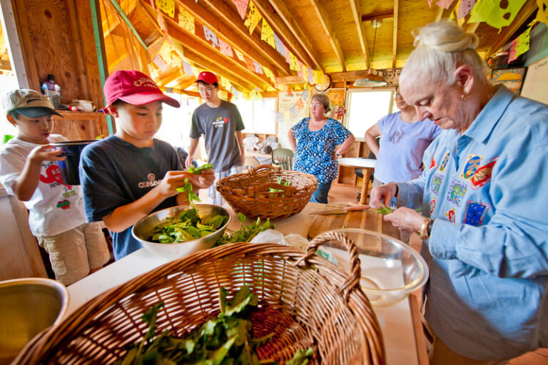 Organic produce baskets from Mohala Farms