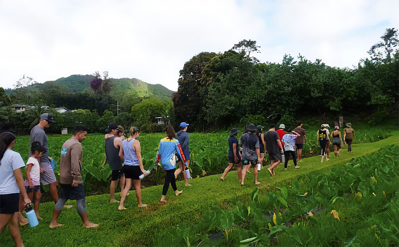 Sustainability in Maunawili
