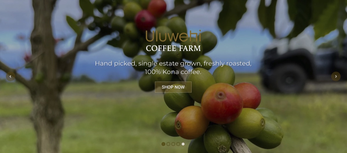 Uluwehi Coffee Farm in Holualoa, Kona