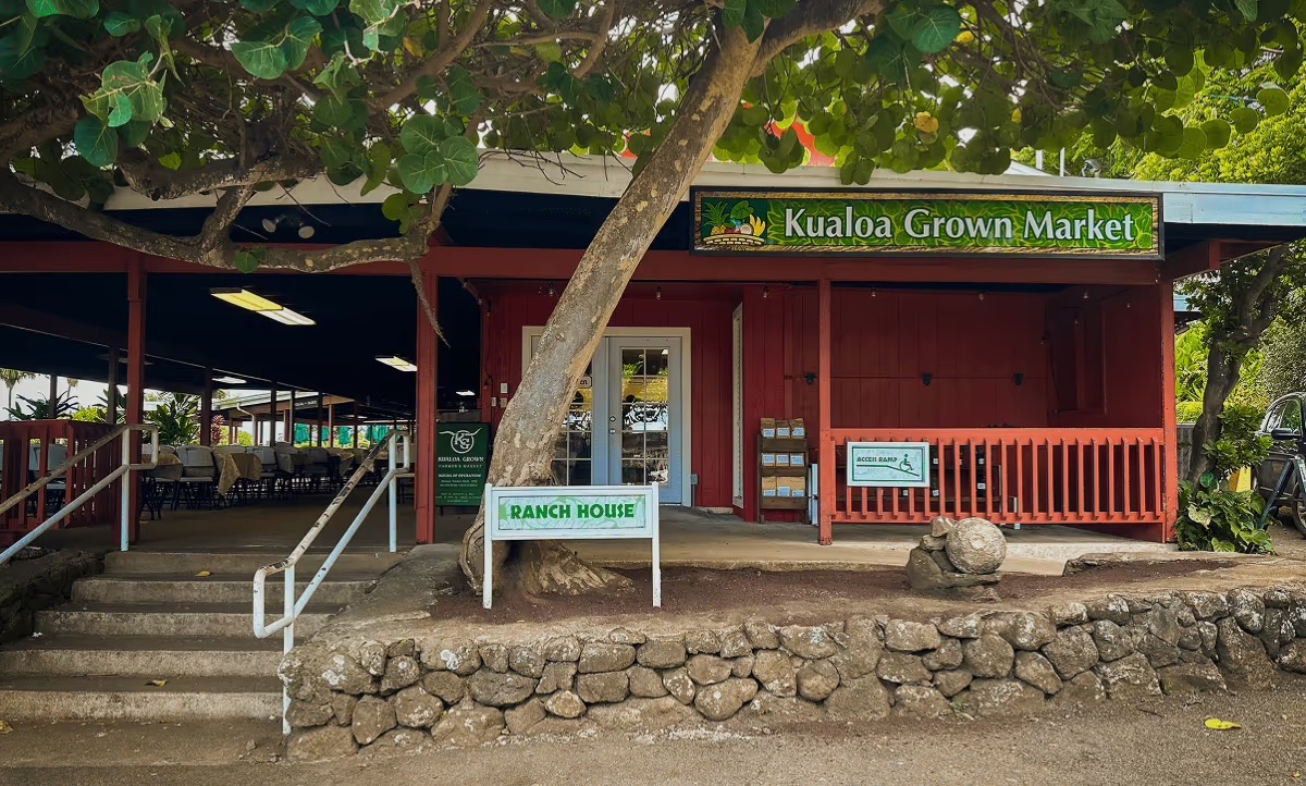 Kualoa Ranch farmers market with fresh oysters and shrimp