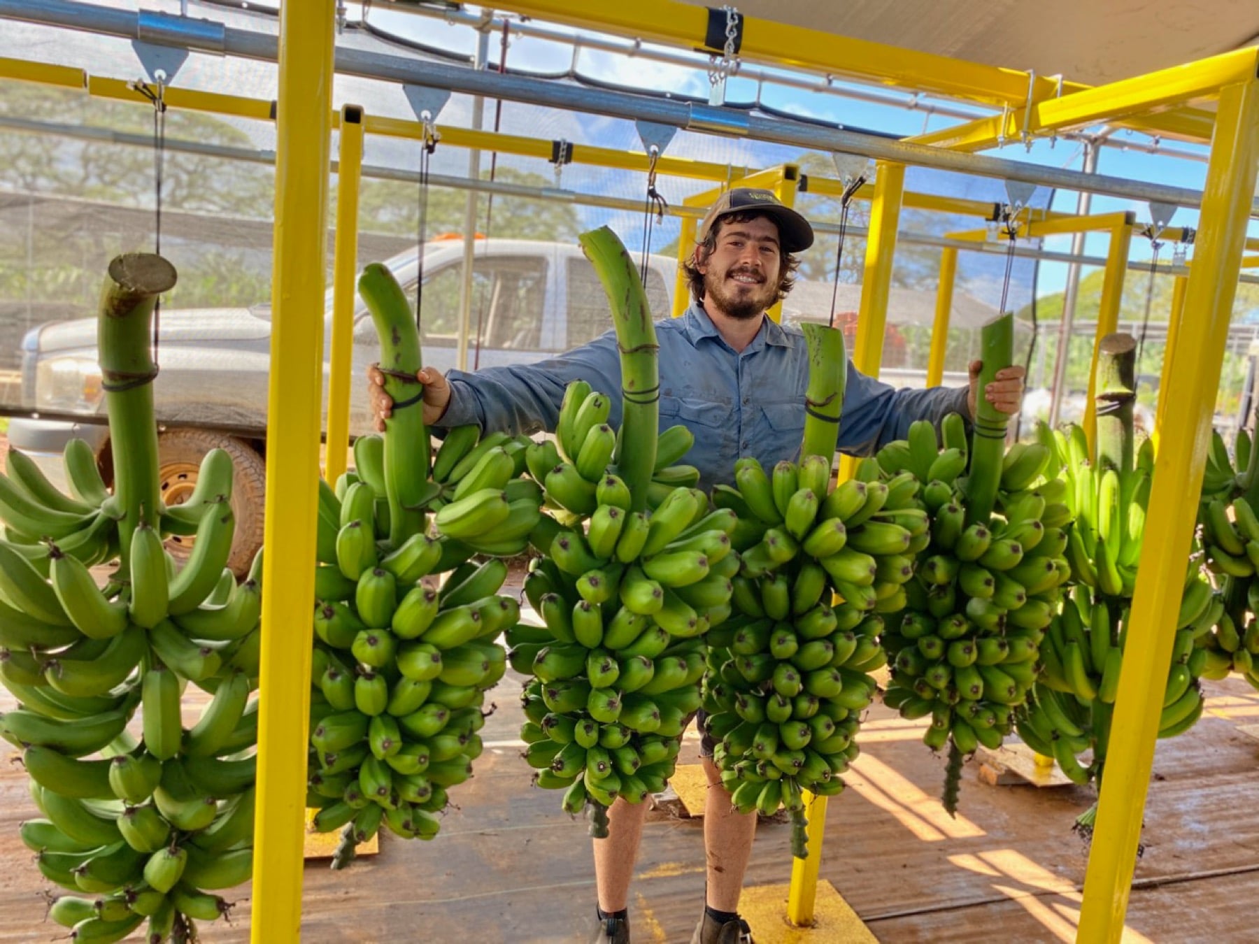The Banana Source on Oʻahu