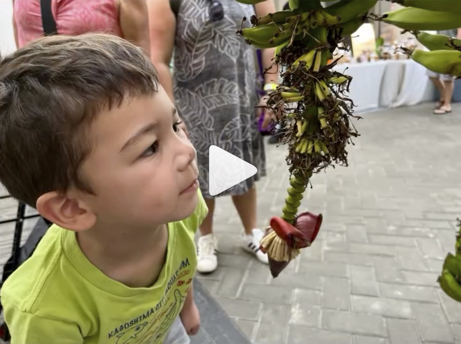 Slow Food Oahu on Instagram